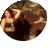 Raíssa